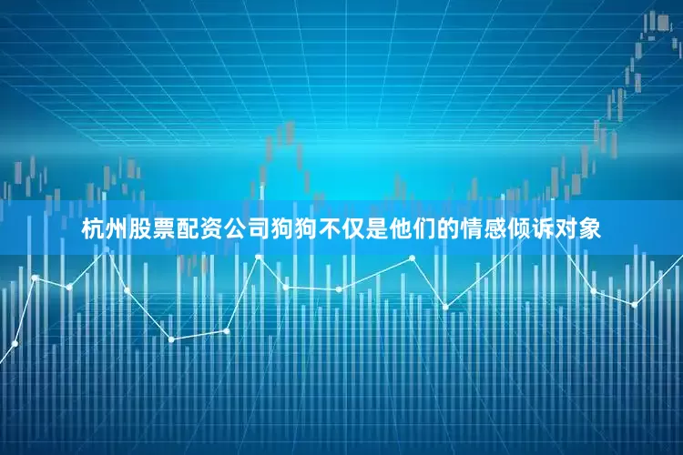 杭州股票配资公司狗狗不仅是他们的情感倾诉对象
