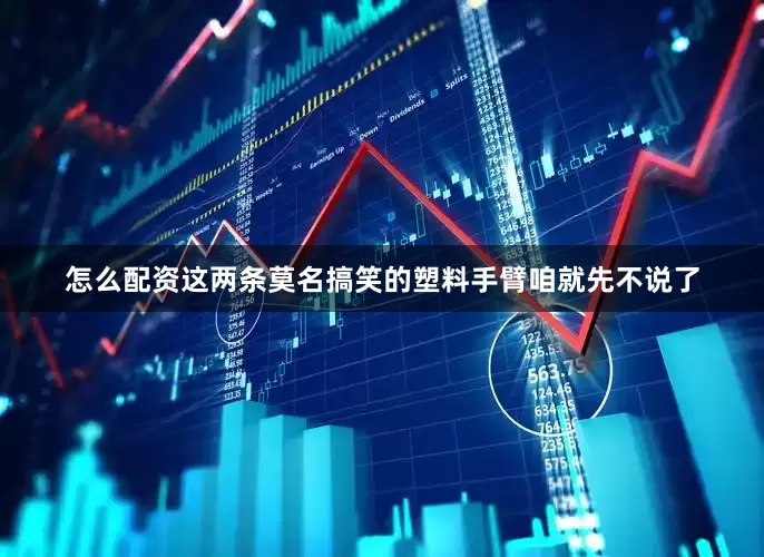 怎么配资这两条莫名搞笑的塑料手臂咱就先不说了
