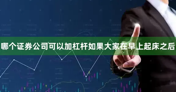 哪个证券公司可以加杠杆如果大家在早上起床之后